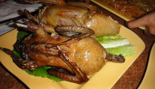 Afla cum se umplu porumbeii