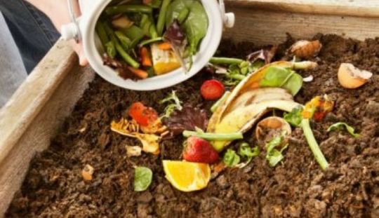  Greseli ce trebuie evitate atunci cand faceti compost