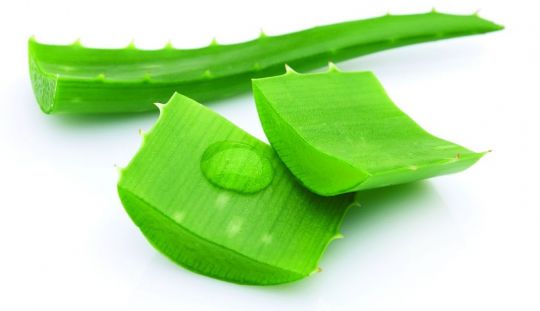 Terapia cu aloe vera