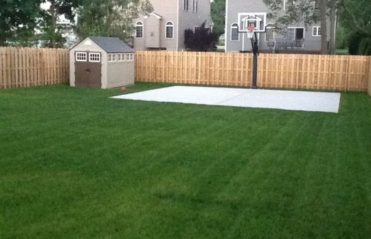 Cum sa ai un gazon de invidiat 