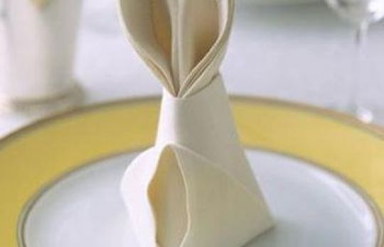 Cum sa impaturesti un servetel de material. Trei metode simple 