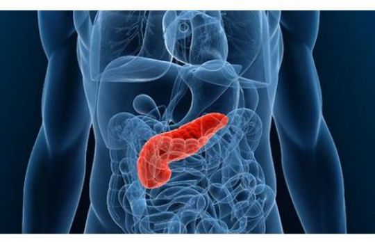 Cum poate fi tratat cancerul pancreatic. 5 metode naturiste