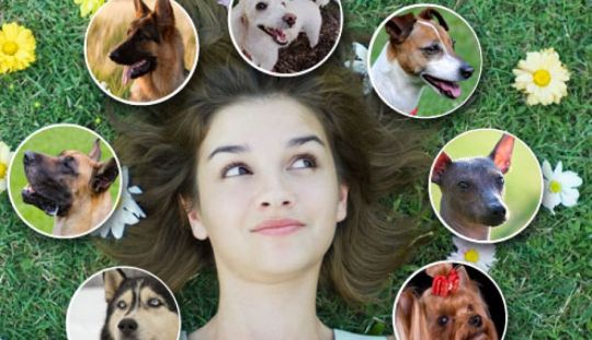 Afla cum sa alegi intre un caine adult si un catelus