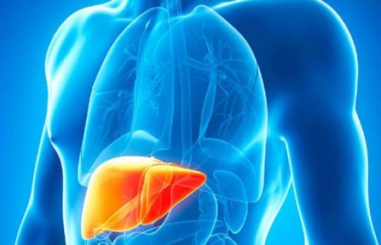 Cum sa te mentii SANATOS. 10 alimente care au grija de ficatul tau