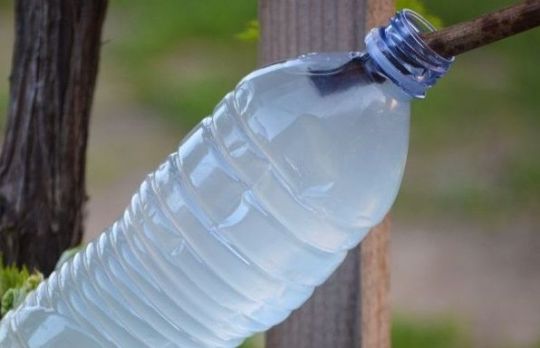 Cum te ajuta lacrimile de vita de vie. Beneficii nebanuite!