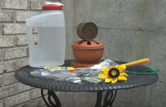 Cum sa scapi de muste. Metoda simpla si eficienta