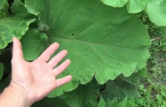 Cum sa scapi de reumatism. Metoda mai simpla nu exista