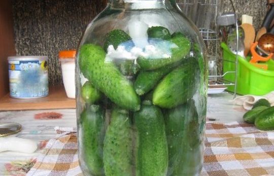 Cum sa pastrezi CASTRAVETII PROASPETI pentru IARNA