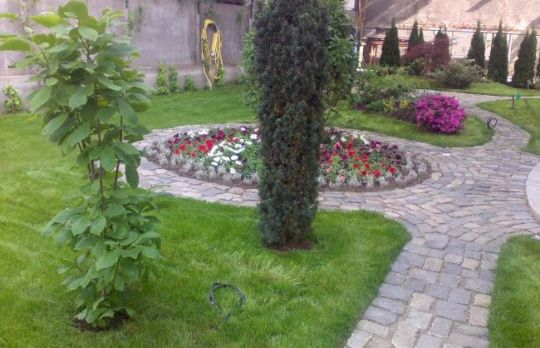 Cum sa cureti o ALEE VECHE din curte