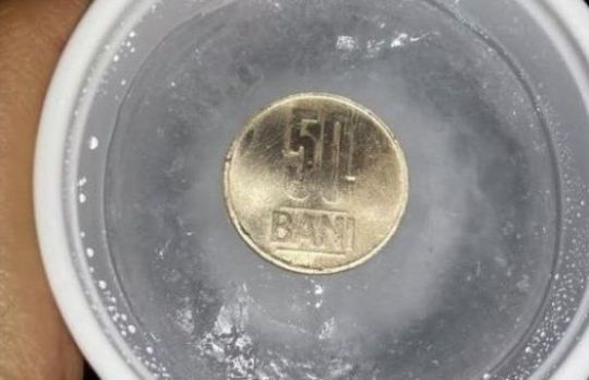 Metoda MONEDA DIN CONGELATOR! Excelenta, mai ales cand lipsesti mult de acasa