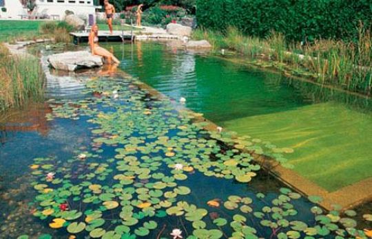 Cum sa construiesti o PISCINA NATURALA