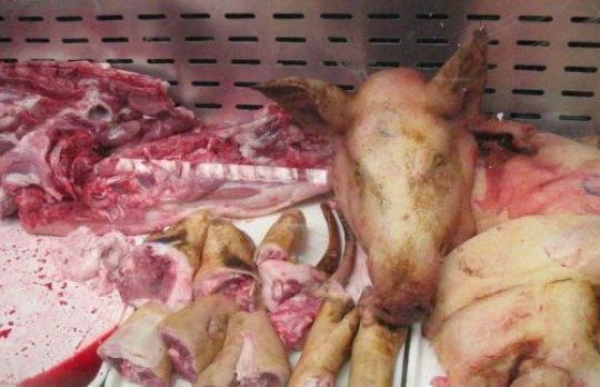 Cum sa alegi carnea de porc