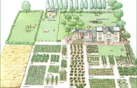 Cum sa ingrijesti GRADINA. Agenda pentru tot anul