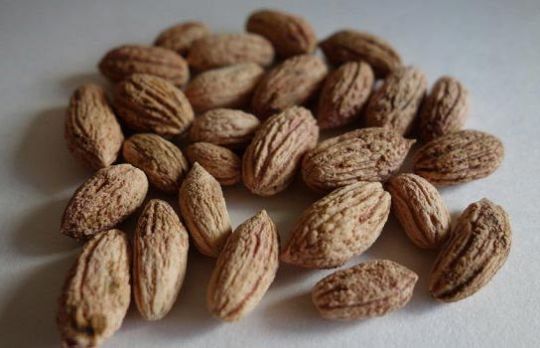 Cum si de ce sa consumi samburi de masline