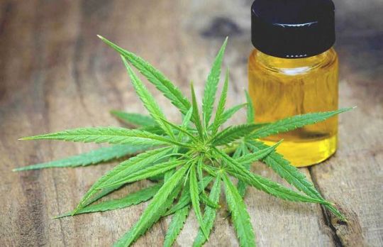 Uleiul de canabis trateaza o multime de afectiuni. Vezi care sunt acestea