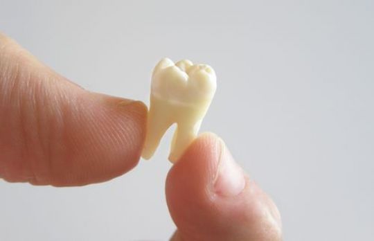 Tot ce trebuie sa stii despre maseaua de minte. O sa ai cateva surprize