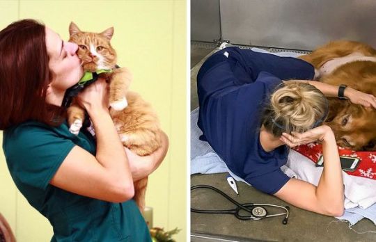 Ai grija de animalul tau! 10 lucruri pe care veterinarul ar vrea sa le cunosti