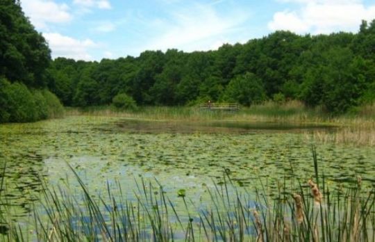Obiective turistice in Botosani. Eminescu, Enescu, Iorga!