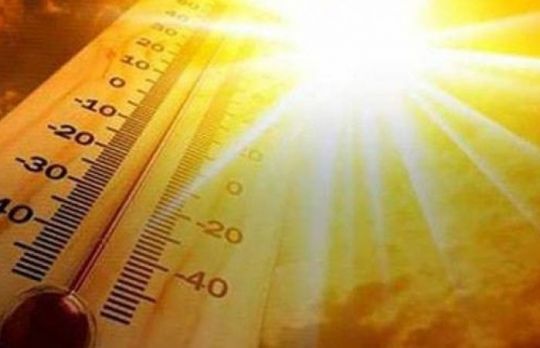 Ce fructe sa consumi pe canicula