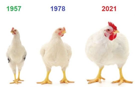 Lucruri familiare care s-au schimbat radical cu trecerea anilor