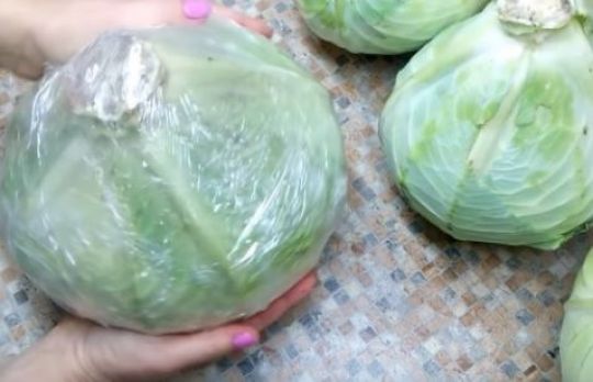 Cum sa pastrezi varza pana la primavara