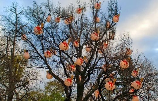 Cum se sarbatoreste Craciunul in Japonia
