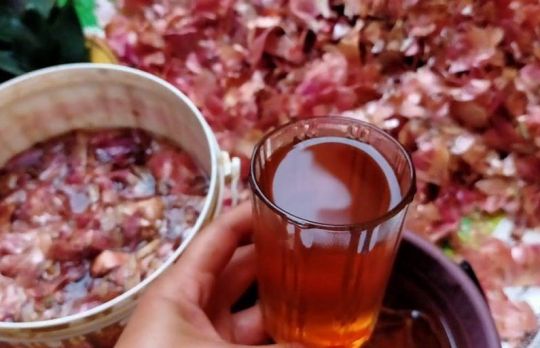 Arunci cojile de ceapa? Nu o mai face! Sunt excelente in gradina