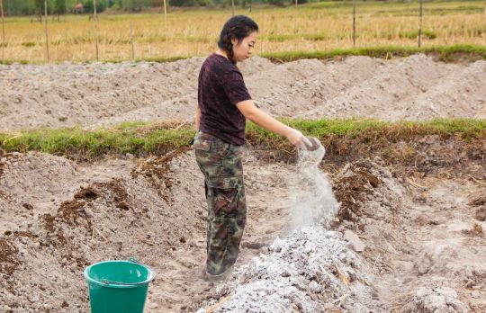 Cum sa dezinfectezi solul cu var