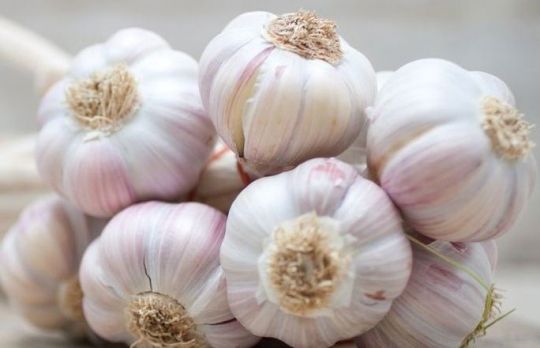 Cum sa depozitezi usturoiul