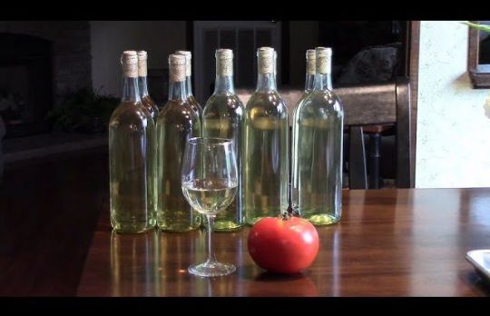 Cum sa faci vin de tomate