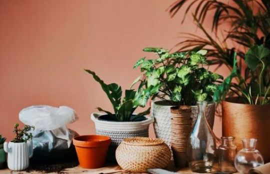 Cum sa alegi jardiniera