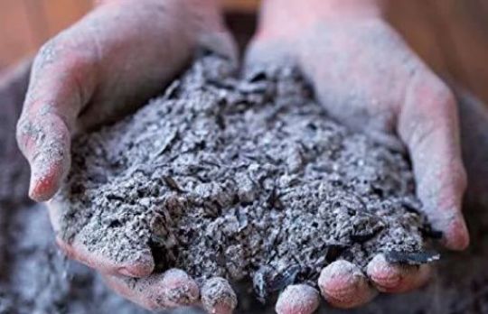 Cum sa fertilizezi ceapa. Cenusa este excelenta