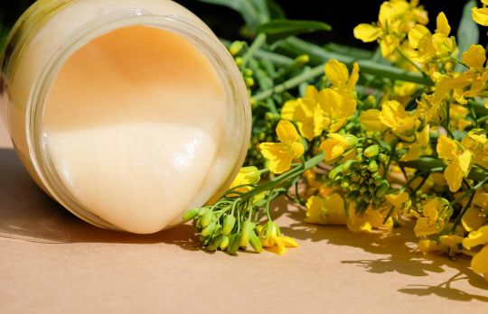 Cum si de ce sa consumi miere de rapita