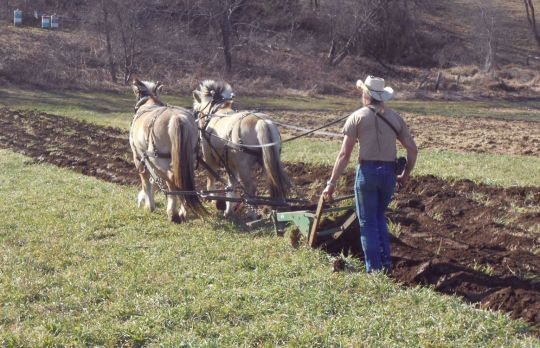 Cum sa ari. Foloseste metoda potrivita