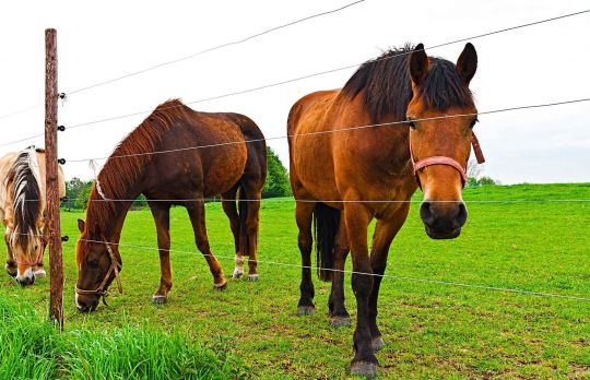 Esti fermier? Ia aceste masuri de protectie