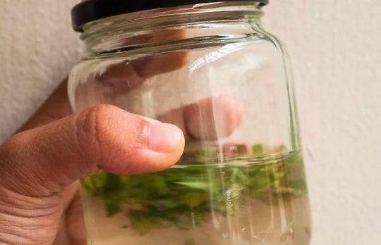 Cum sa faci liniment