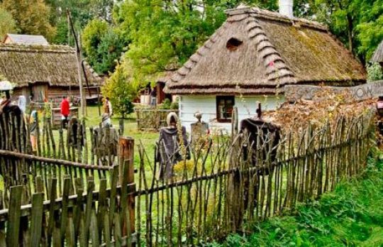 Cum sa prosperi la sat. Idei de afaceri