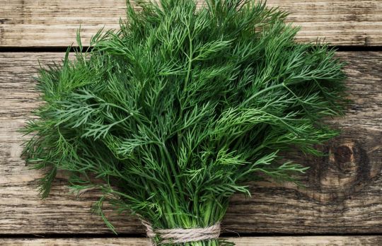 Cum sa conservi mararul