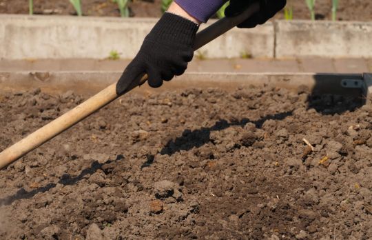 Cum sa afani pamantul pe timp de toamna