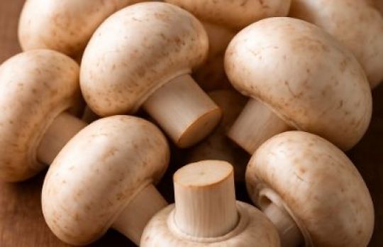Cum sa mentii ciupercile proaspete