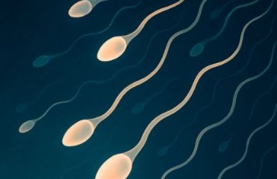 Cum sa cresti motilitatea spermatozoizilor