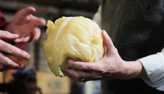 Varza acra murata in butoi