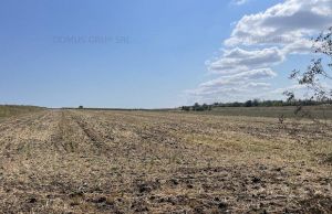 Cat costa un hectar de teren agricol in Romania?